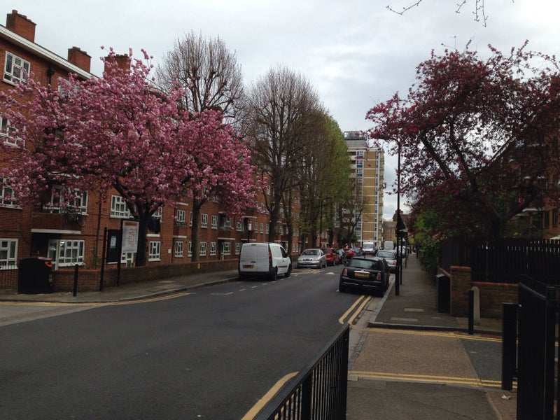 £900 PCM. Double bedroom-.Zone 2-London N16 - student accommodation in Stoke Newington - img_8