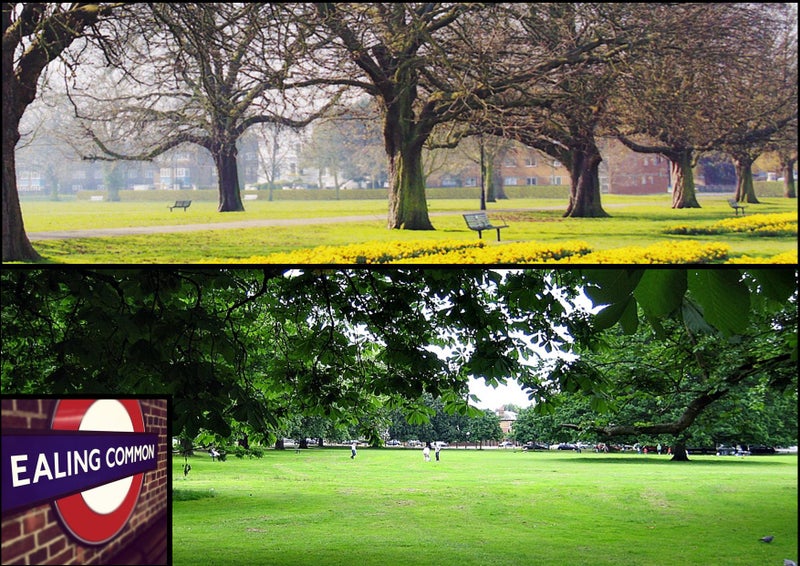 Ace Large Studio with Garden W5 - 2 mins Tube - student accommodation in Ealing Common - img_6