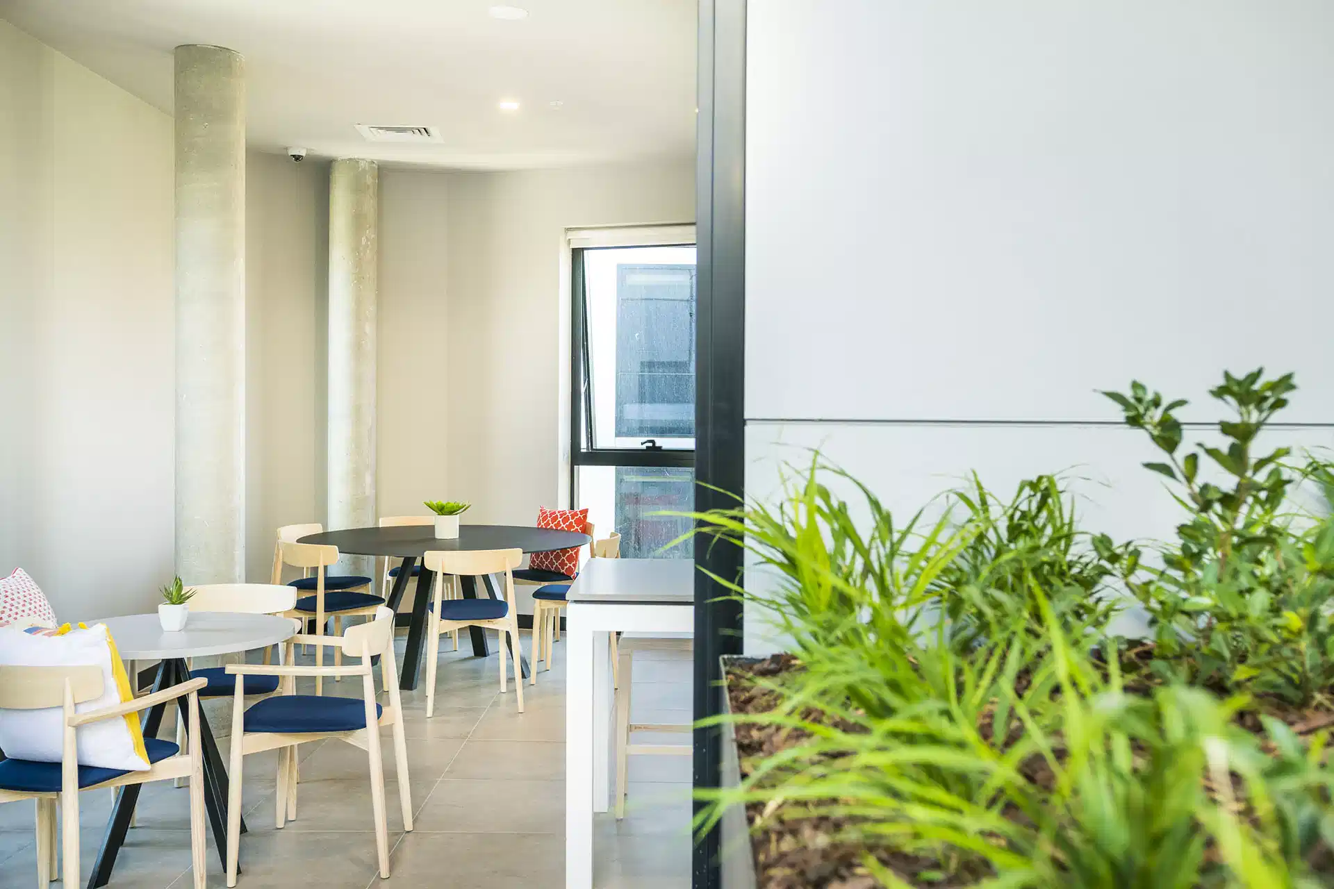 Scape Peel - student accommodation in North Melbourne - img_63