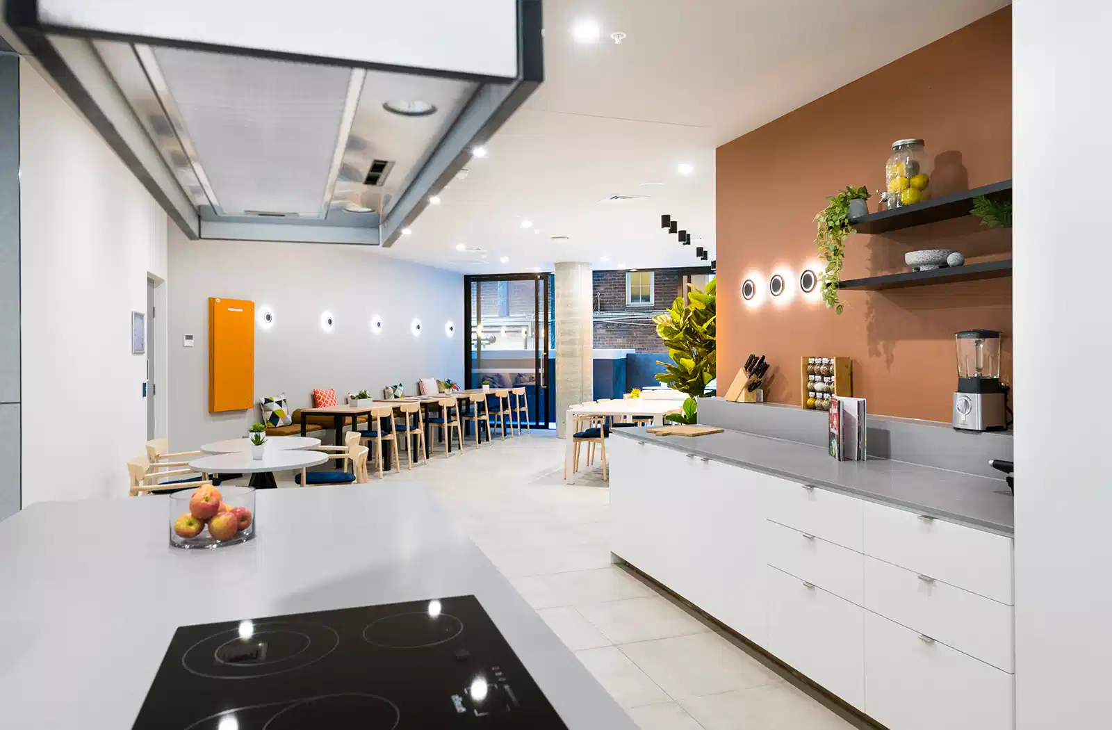 Scape Peel - student accommodation in North Melbourne - img_15