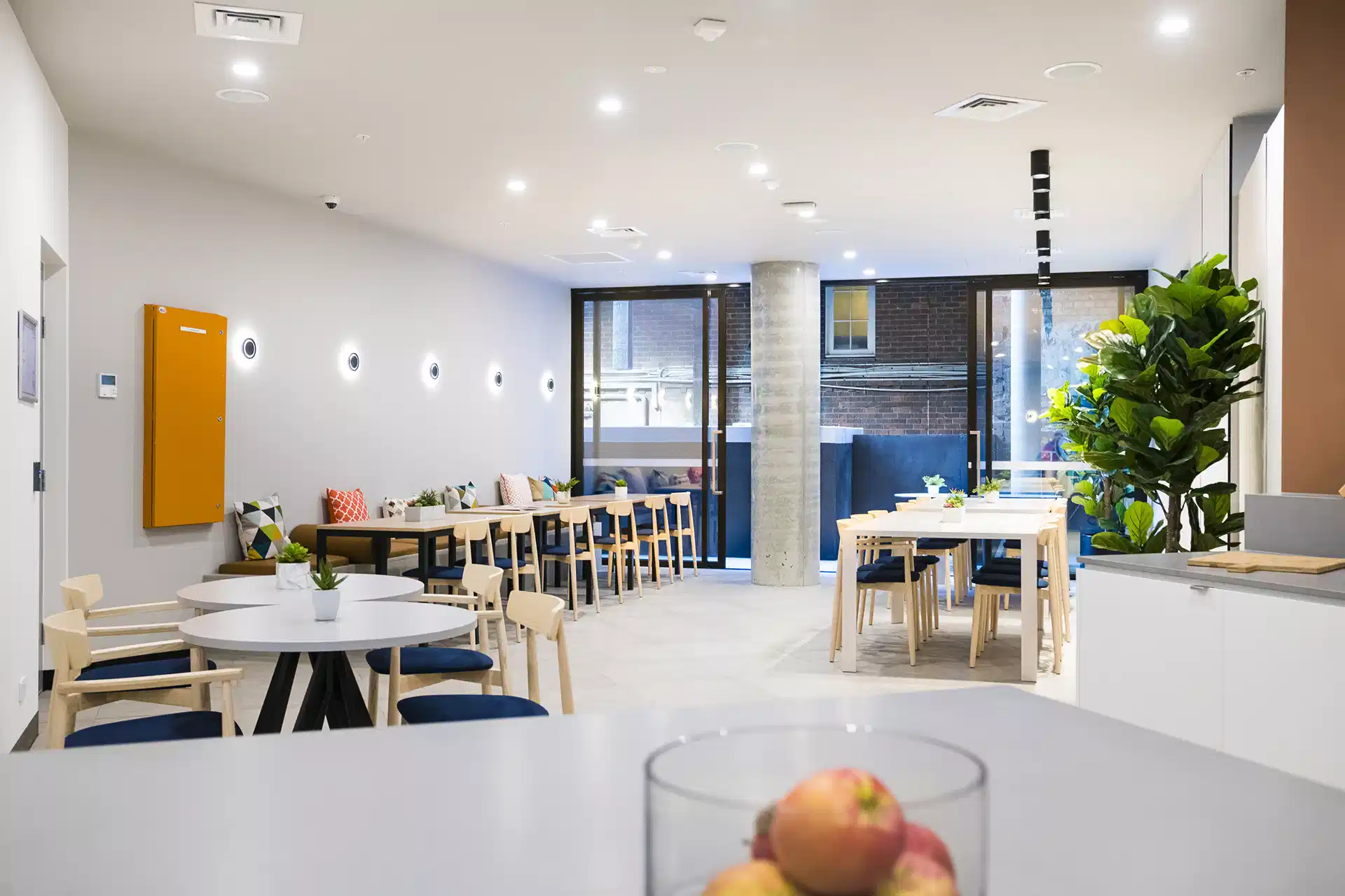 Scape Peel - student accommodation in North Melbourne - img_82