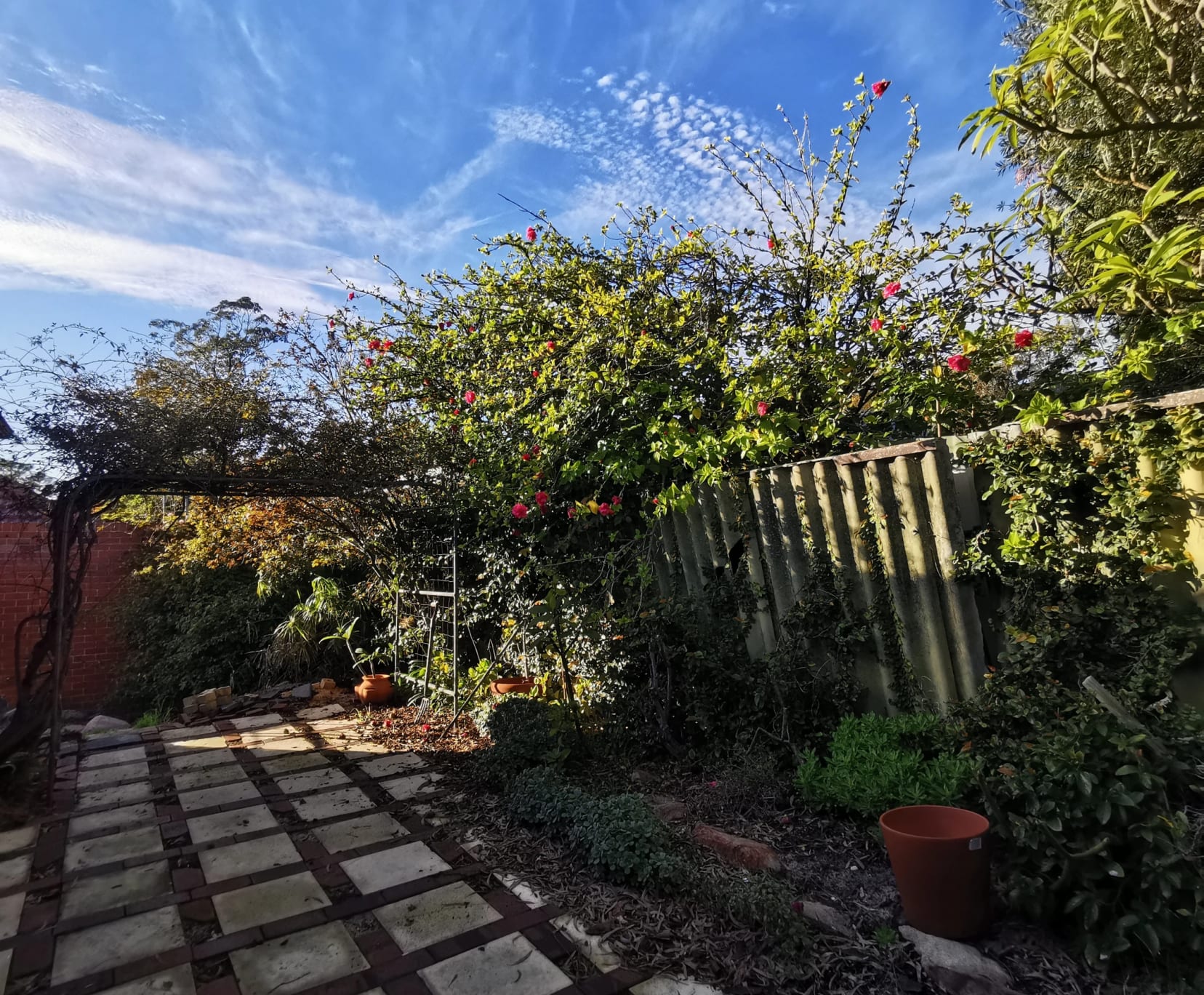 Room for Rent in Mount Pleasant, Perth | $400, Furnished, Ensuite - student accommodation in Perth - img_14