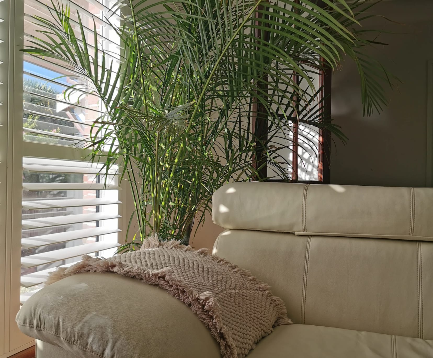 Room for Rent in Mount Pleasant, Perth | $400, Furnished, Ensuite - student accommodation in Perth - img_7