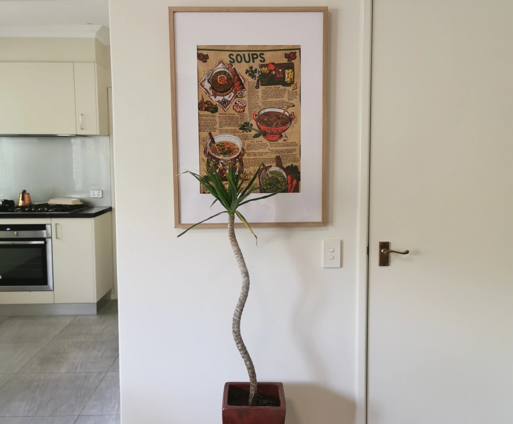 Room for Rent in Mount Pleasant, Perth | $400, Furnished, Ensuite - student accommodation in Perth - img_22