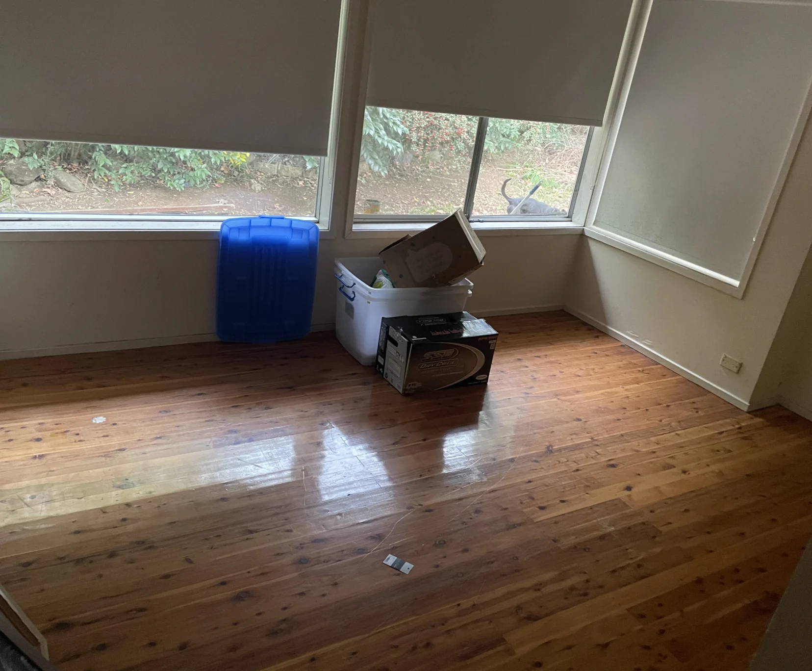 Room for Rent in Spring Farm, Sydney | $280, Furnished, Own bathroom student accommodation in Sydney - img_1