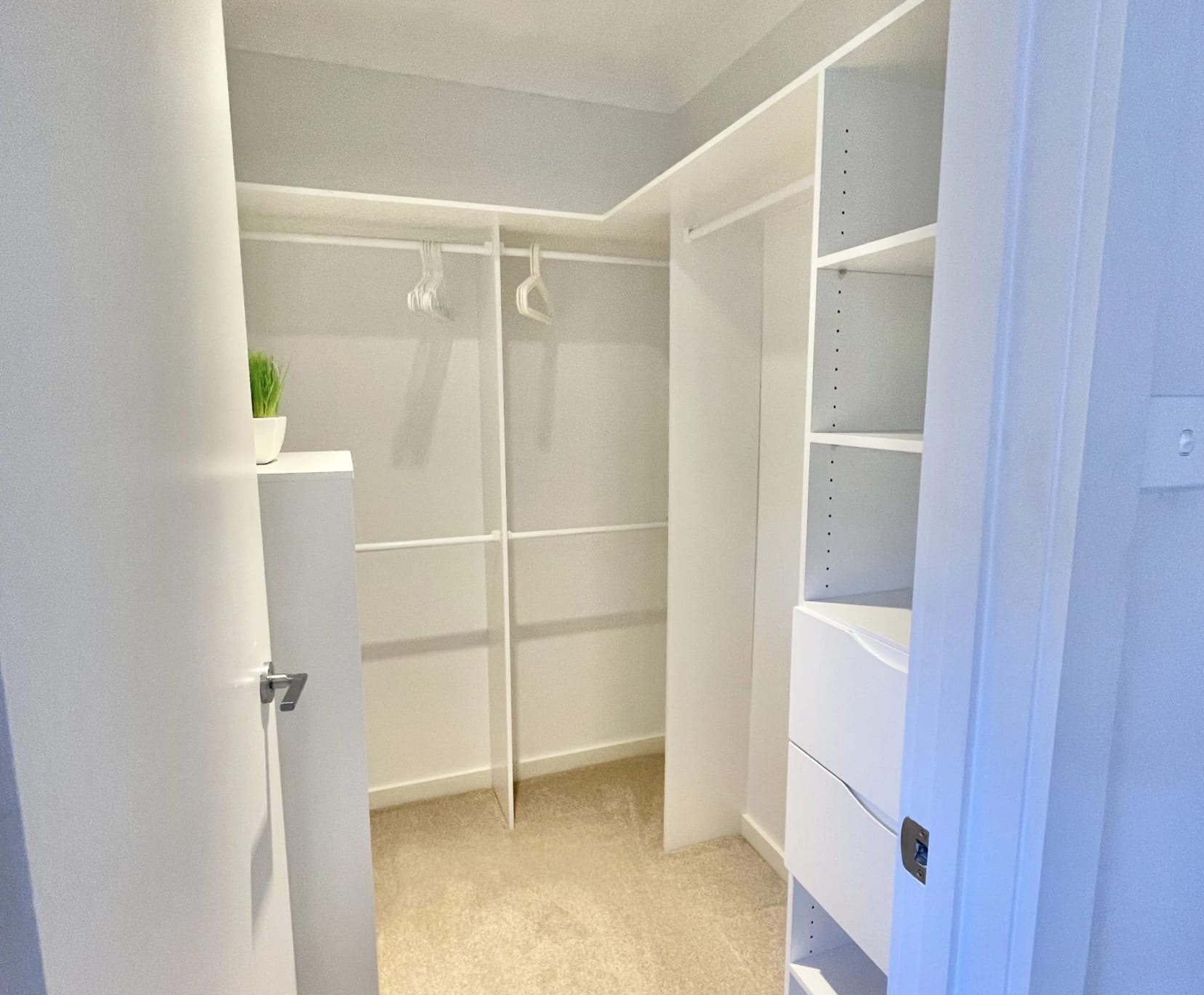 Room for Rent in Amaroo, Canberra | $250, Furnished, Shared bathroom student accommodation in Canberra - img_10