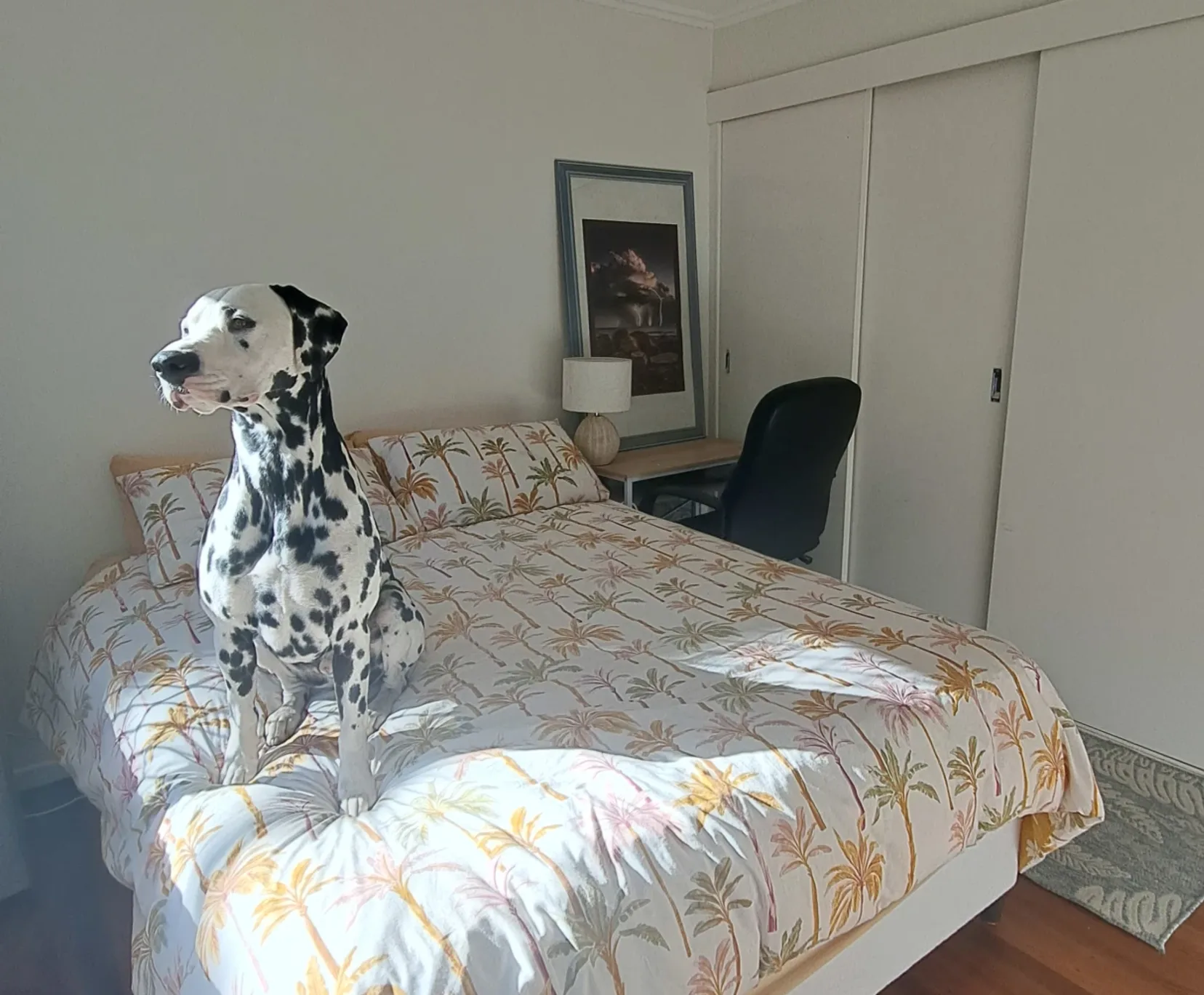 Room for Rent in Margate, Brisbane | $320, Flexible with furnishings, Shared bathroom - student accommodation in Brisbane - img_3