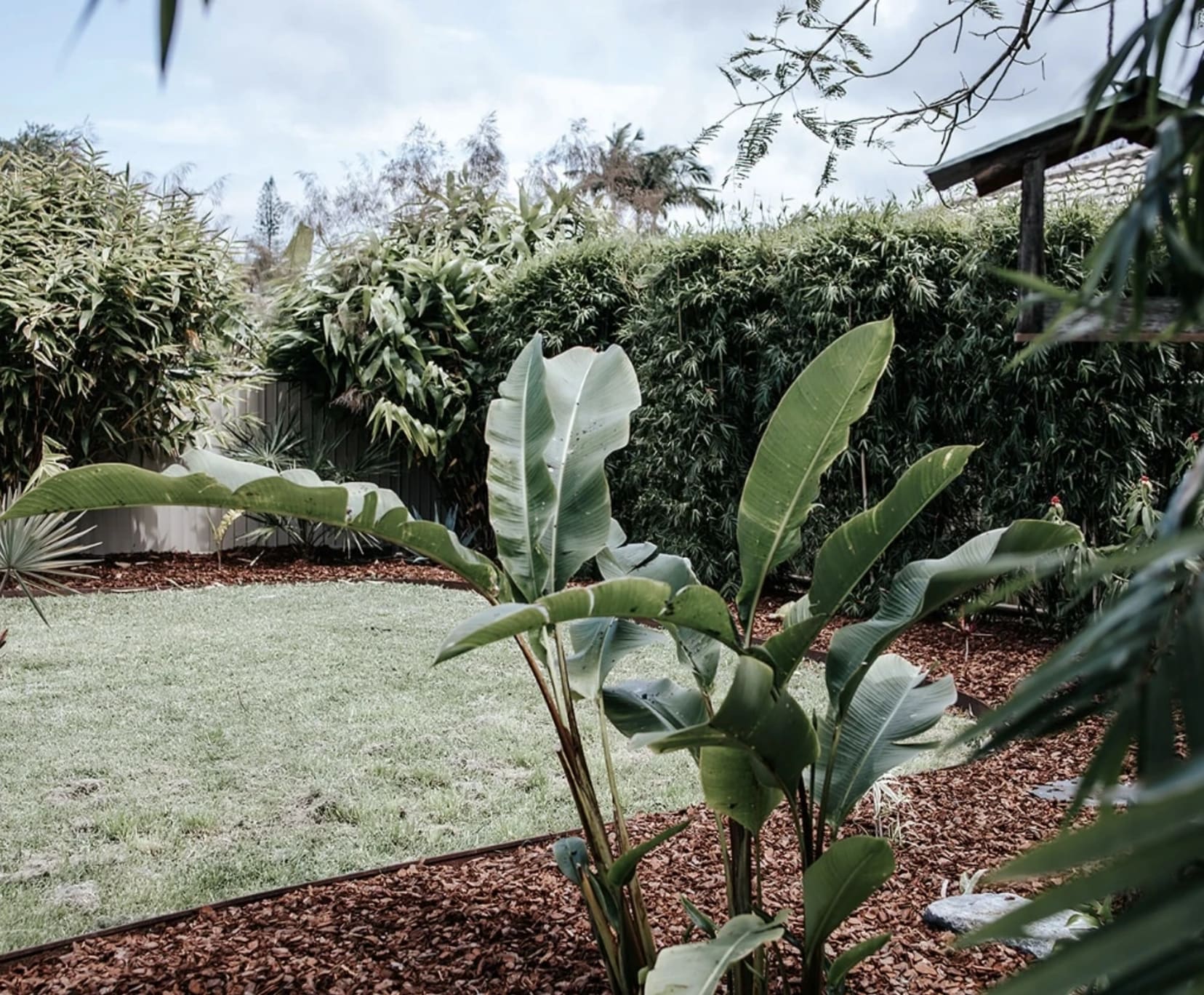 Room for Rent in Coffs Harbour, NSW | $350, Furnished, Shared bathroom - student accommodation in Coffs Harbour - img_5