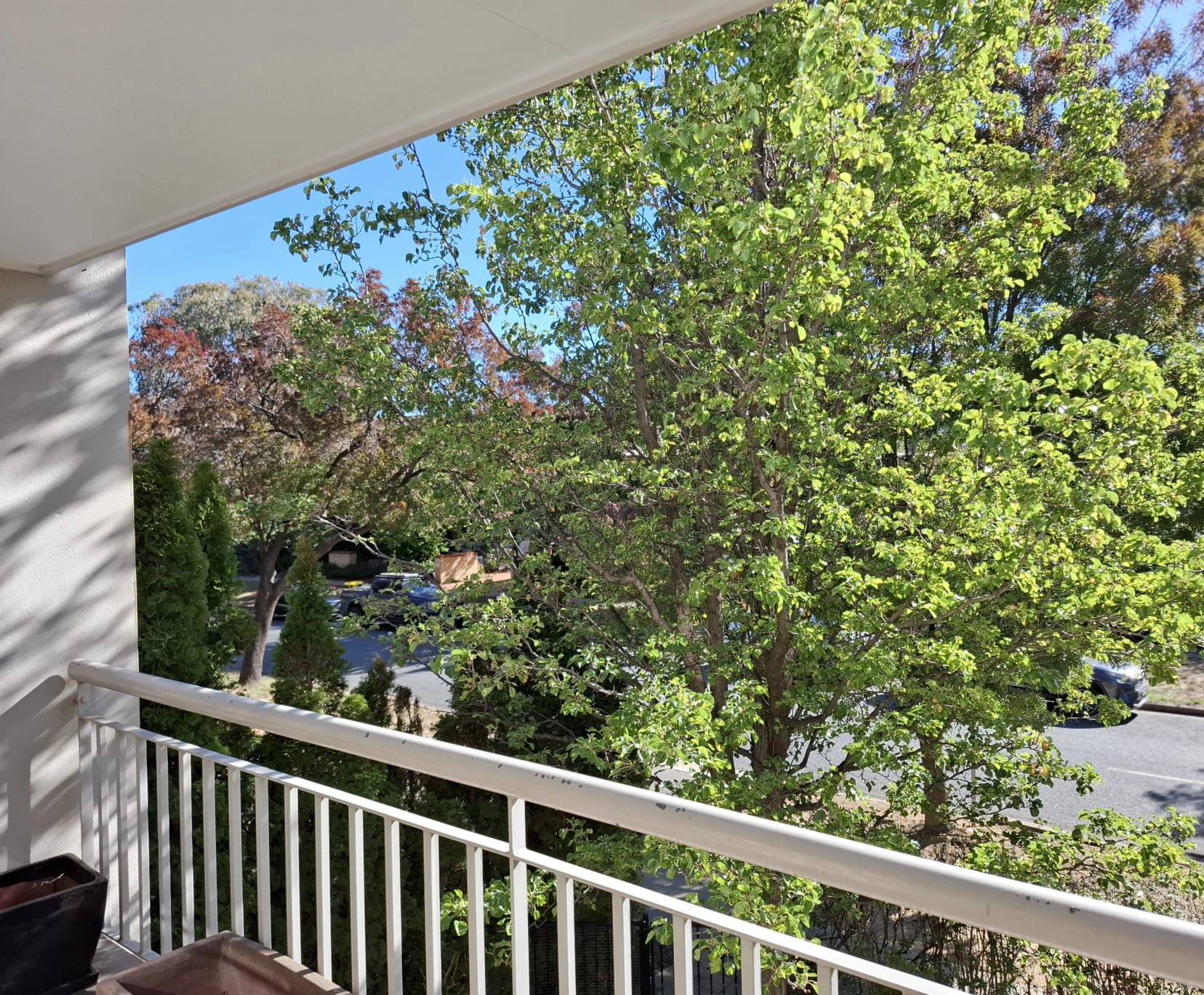 Room for Rent in Turner, Canberra | $375, Furnished, Own bathroom - student accommodation in Canberra - img_4