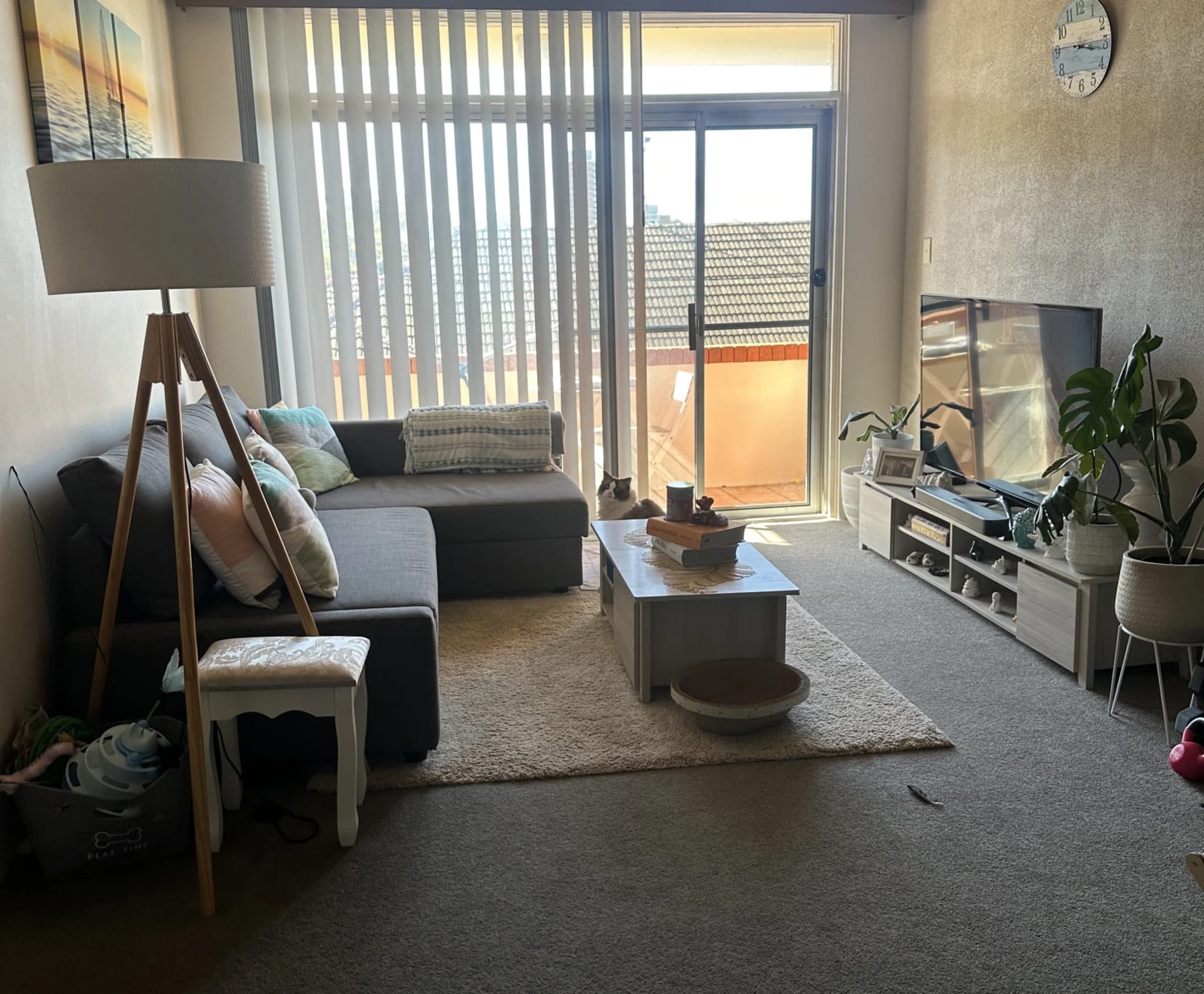Room for Rent in Randwick, Sydney | $430, Flexible with furnishings, Shared bathroom student accommodation in Sydney - img_1