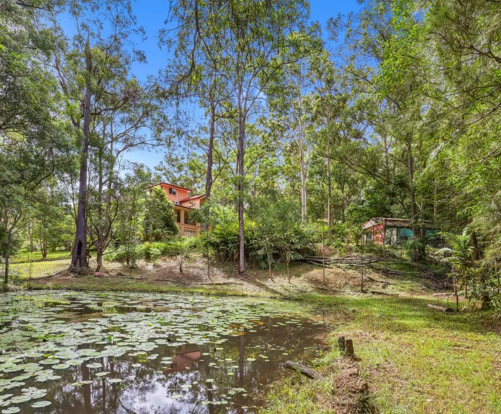 Room for Rent in Nerang, Gold Coast | $350, Unfurnished, Shared bathroom - student accommodation in Gold Coast - img_8