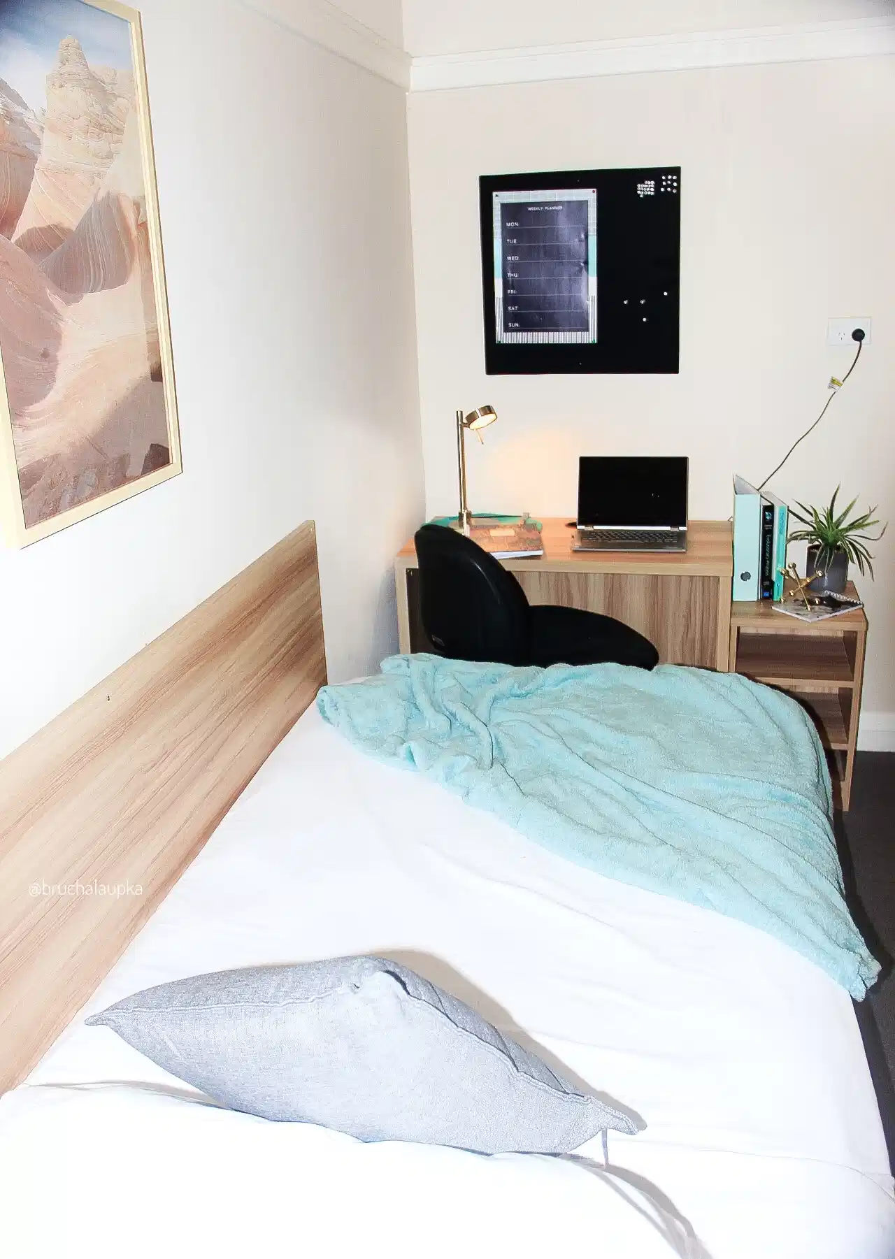 2 Rooms for Rent in Potts Point, Sydney | $385-400, Flexible with furnishings, Shared bathroom student accommodation in Elizabeth Bay - img_6