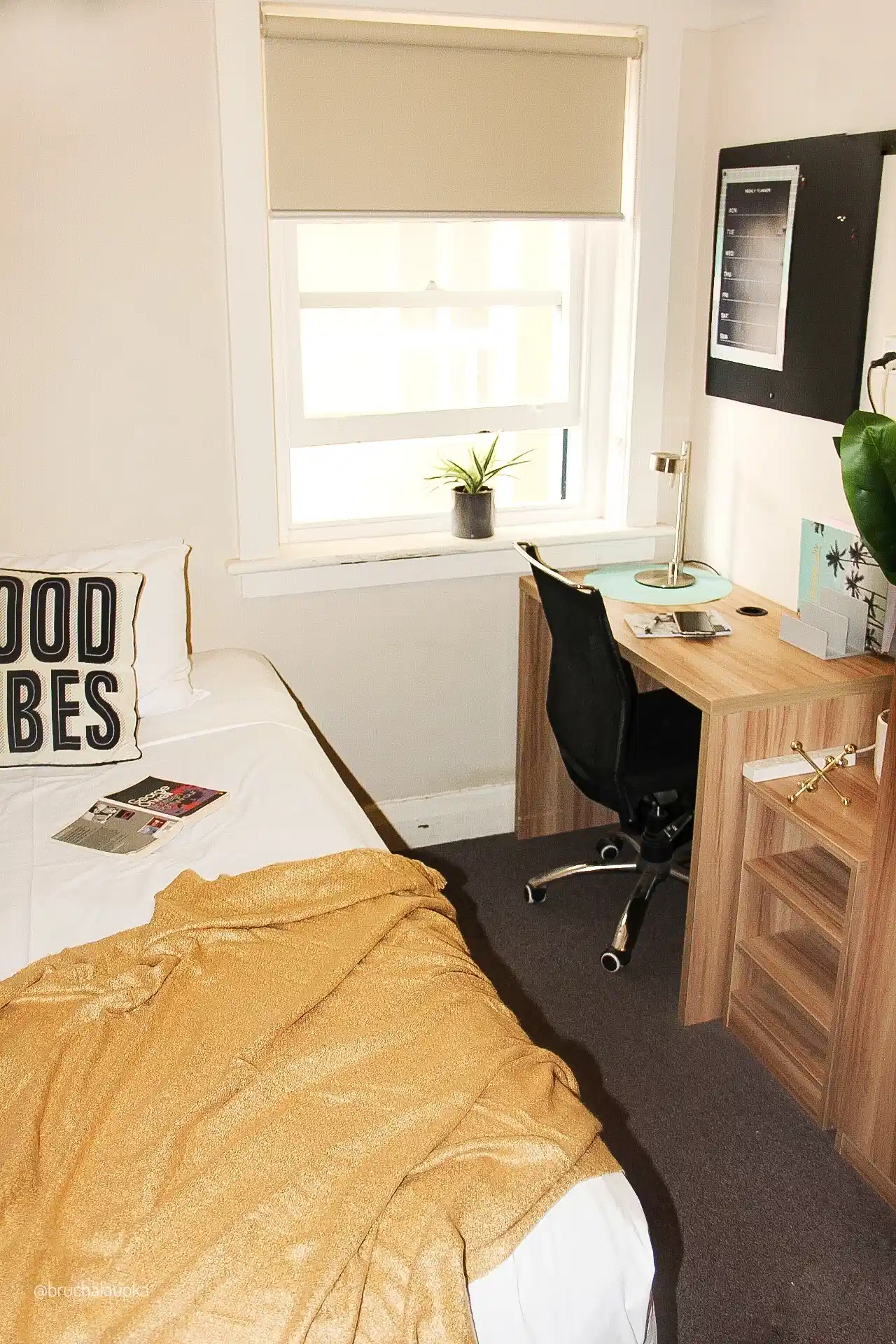 2 Rooms for Rent in Potts Point, Sydney | $385-400, Flexible with furnishings, Shared bathroom student accommodation in Elizabeth Bay - img_7