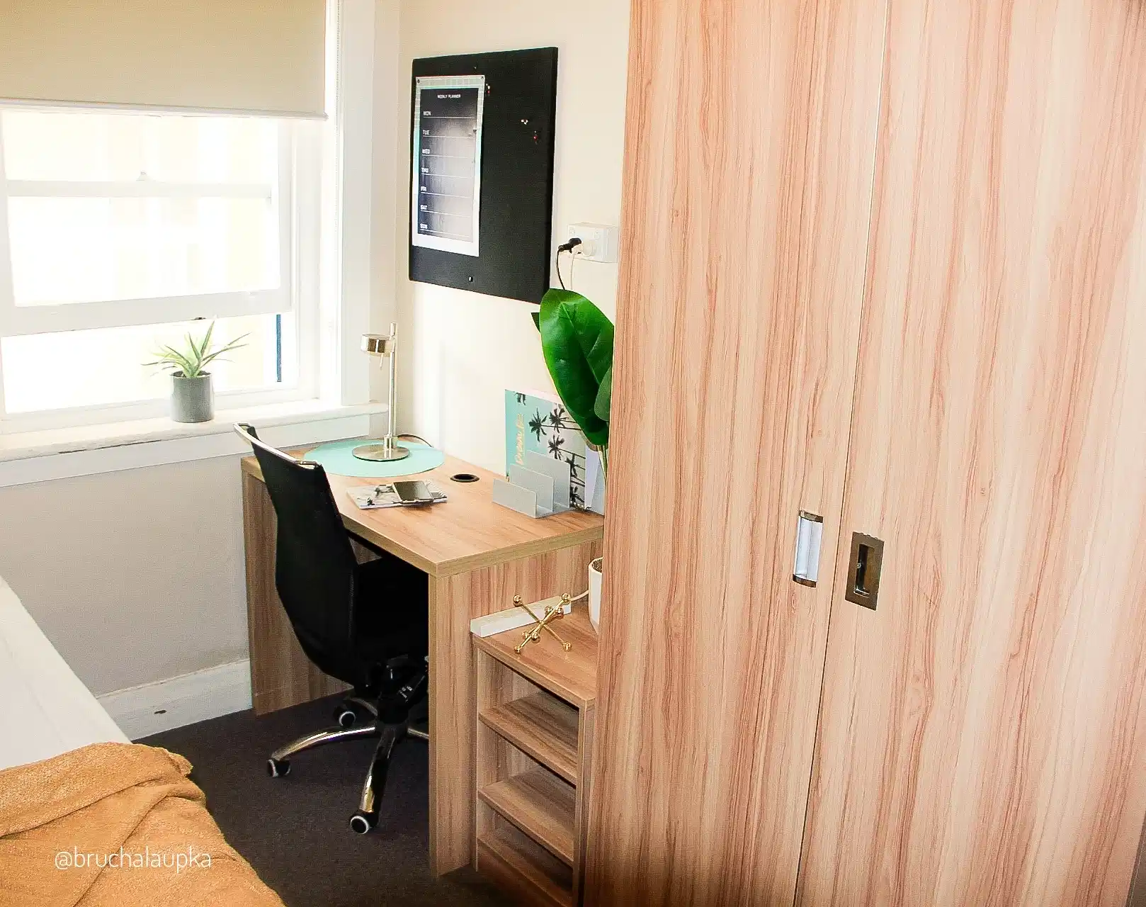 2 Rooms for Rent in Potts Point, Sydney | $385-400, Flexible with furnishings, Shared bathroom student accommodation in Elizabeth Bay - img_8