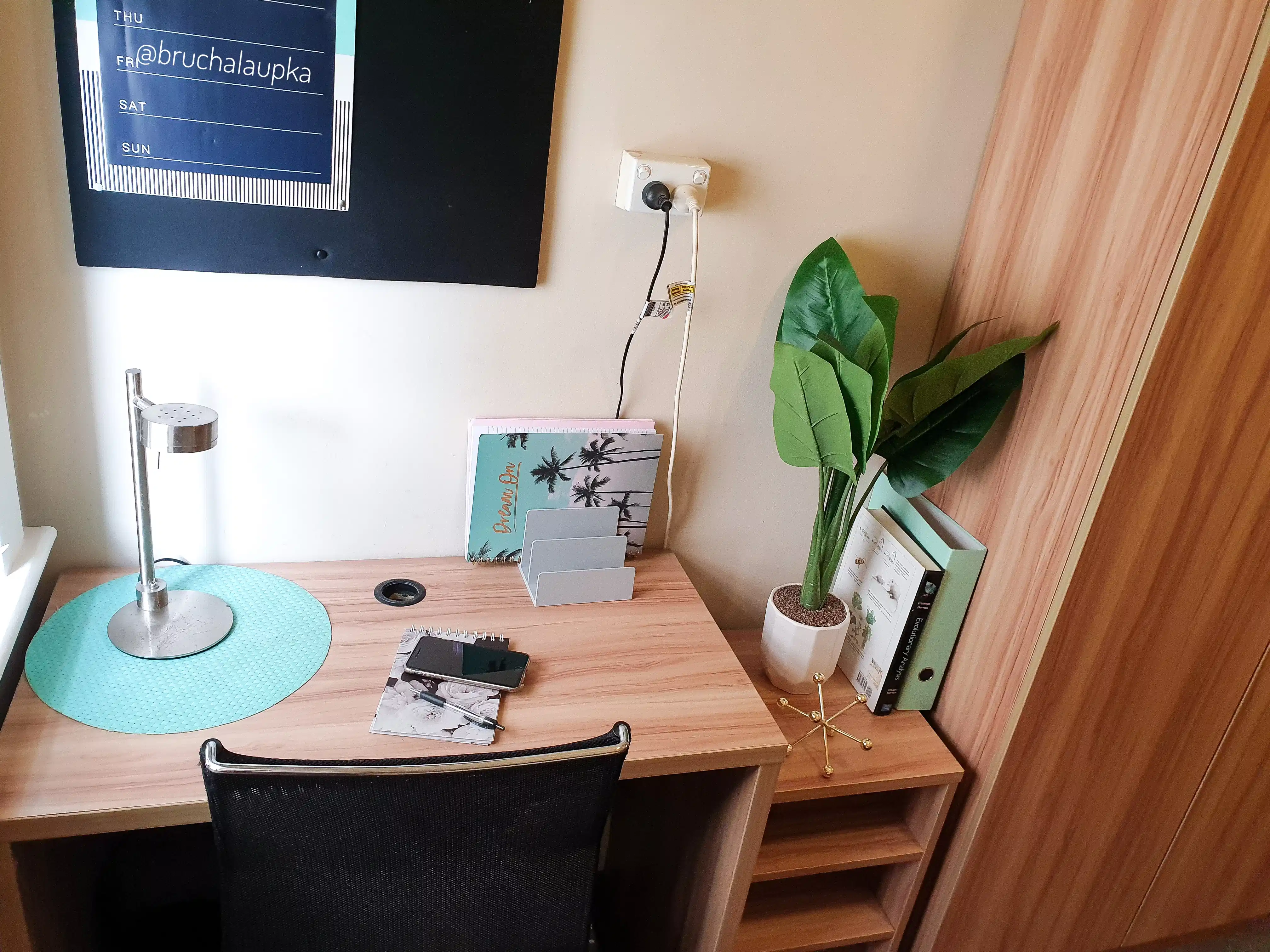 2 Rooms for Rent in Potts Point, Sydney | $385-400, Flexible with furnishings, Shared bathroom student accommodation in Elizabeth Bay - img_16