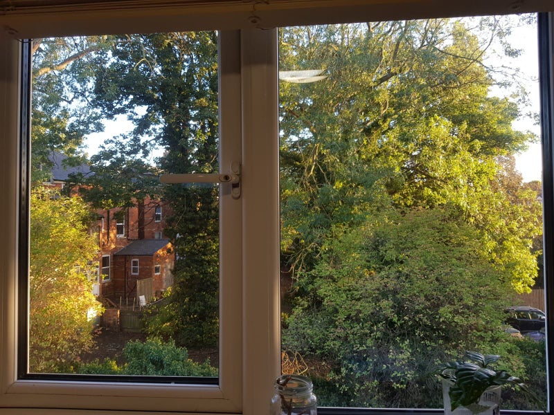 House in Hull - student accommodation in Hull - img_3