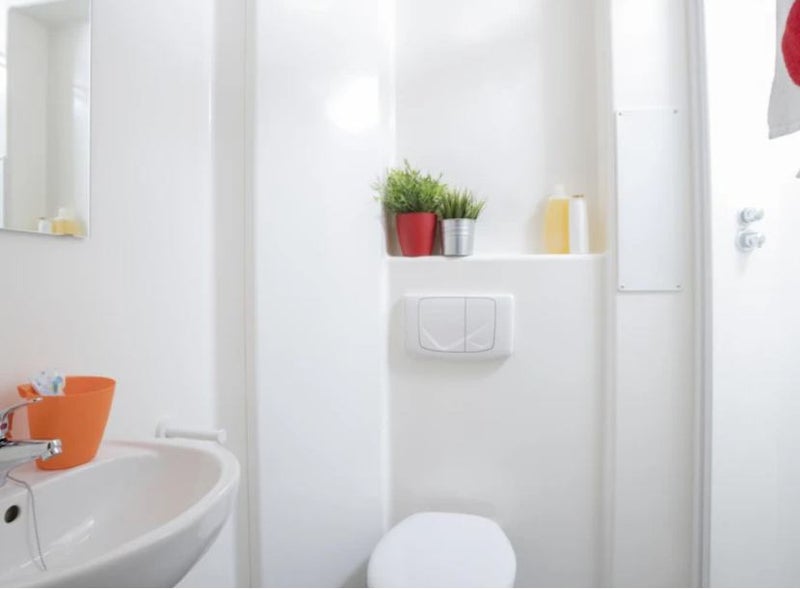HUGE bright double in Dalston/Stokey (date flexi) student accommodation in Newington Green - img_2