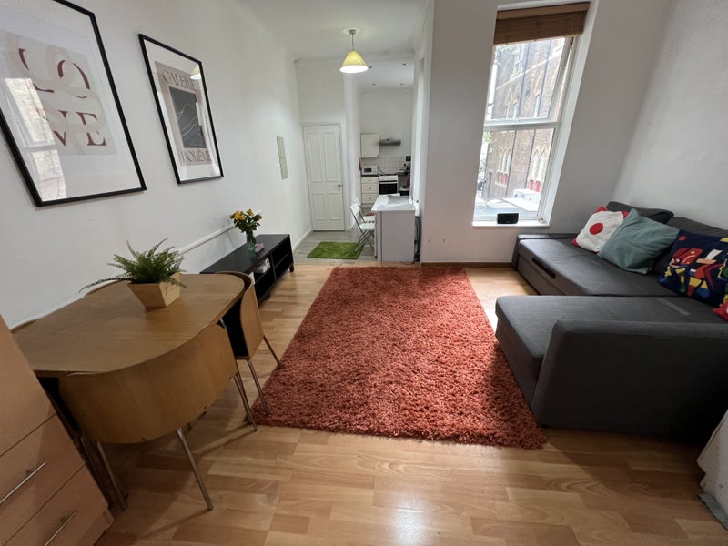 Big flat shared w 1 girl,living room, 9.09,Holborn - student accommodation in Holborn - img_4