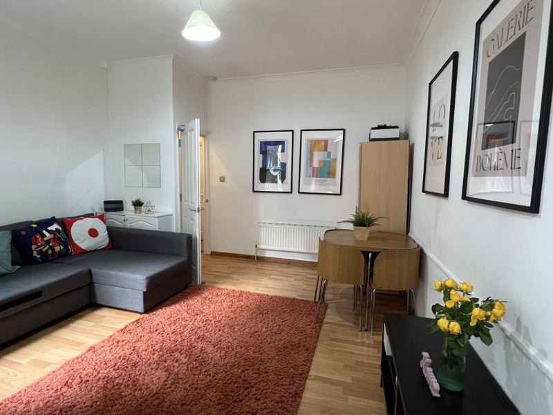 Big flat shared w 1 girl,living room, 9.09,Holborn - student accommodation in Holborn - img_5