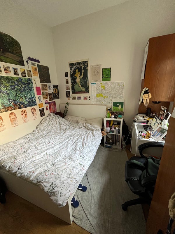 Bright and Spacious Room available in 3-Bed-Flat - student accommodation in West Hampstead - img_2