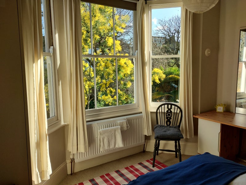 Bright spacious room in a friendly period house - student accommodation in Herne Hill - img_4