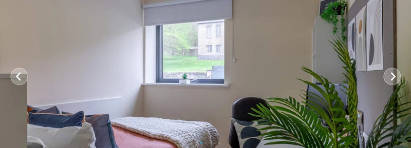 Bronze Plus Ensuite - LLYS Y DEON - student accommodation in Bangor - img_1