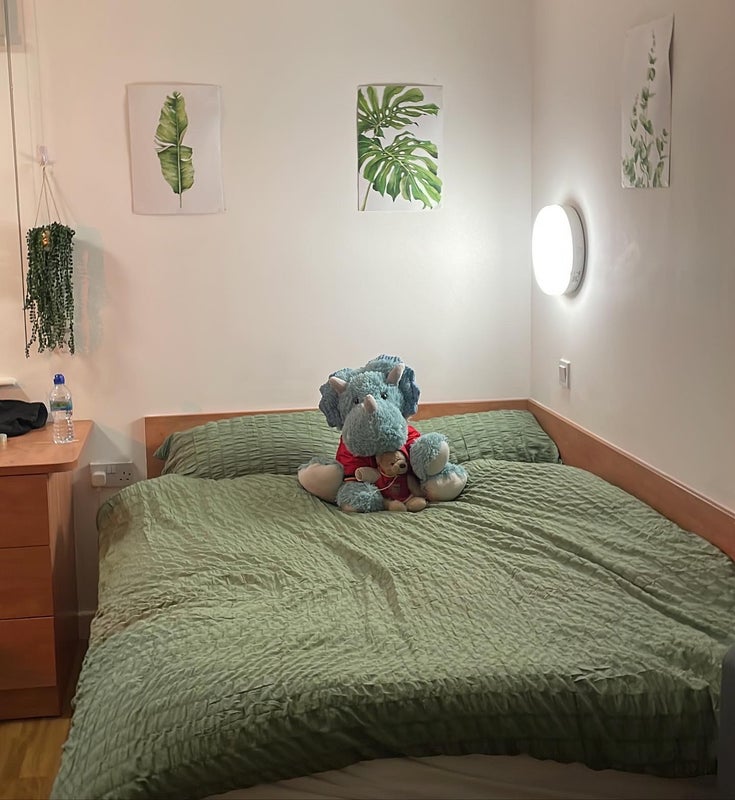 Classic Studio For Rent £206 per week - student accommodation in Exeter - img_2