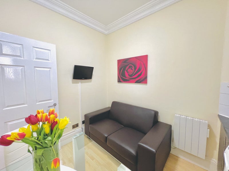 Cozy One Bedroom Flat in Mayfair London - student accommodation in Mayfair - img_5