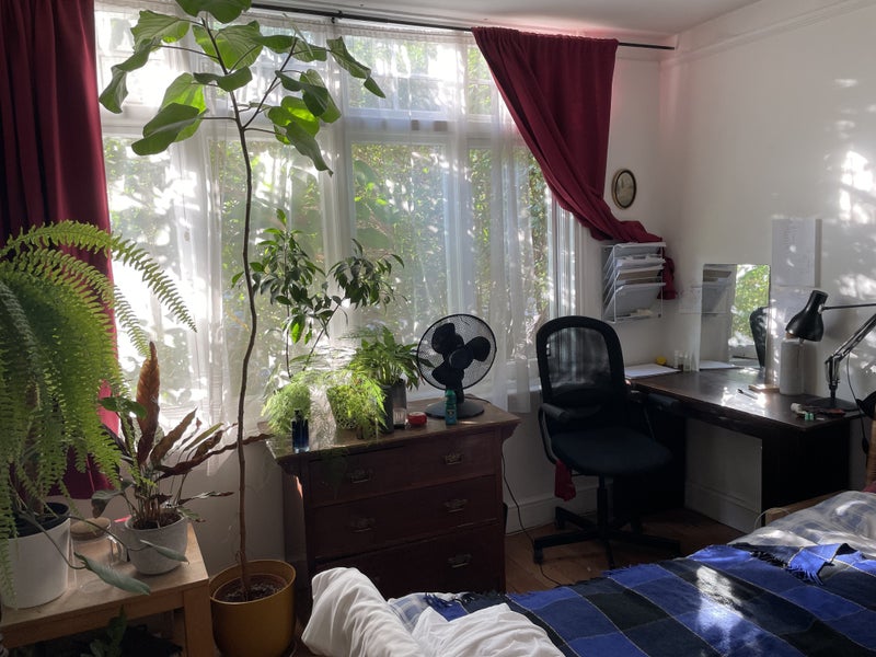 Double bedroom for 2 weeks - Camberwell - student accommodation in Camberwell - img_2