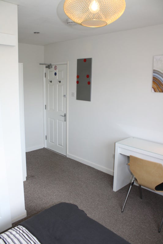 *Double En-Suite Room in Friendly House Share* - student accommodation in St John's - img_12