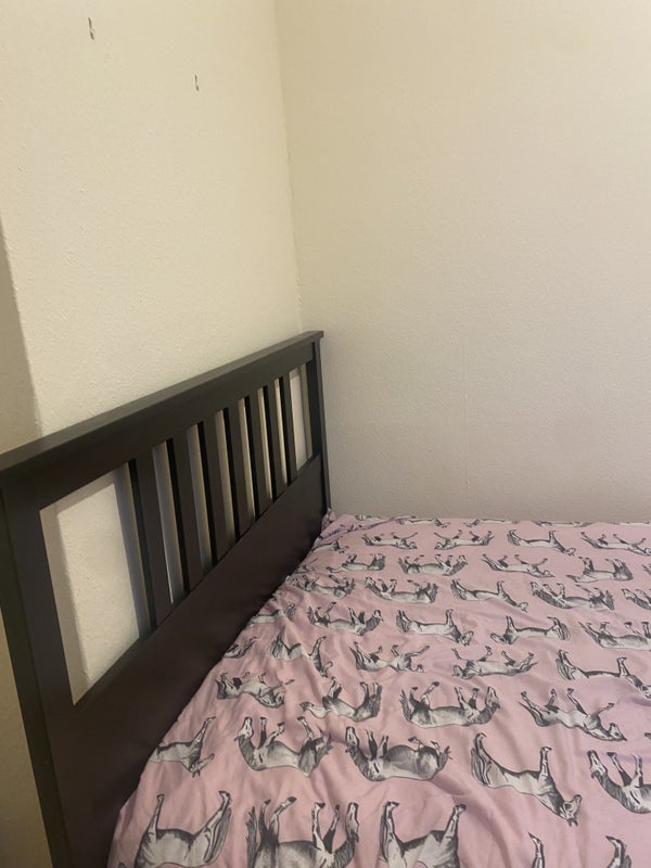 Double Room in a 2 bedroom Flat - student accommodation in Bedford - img_3