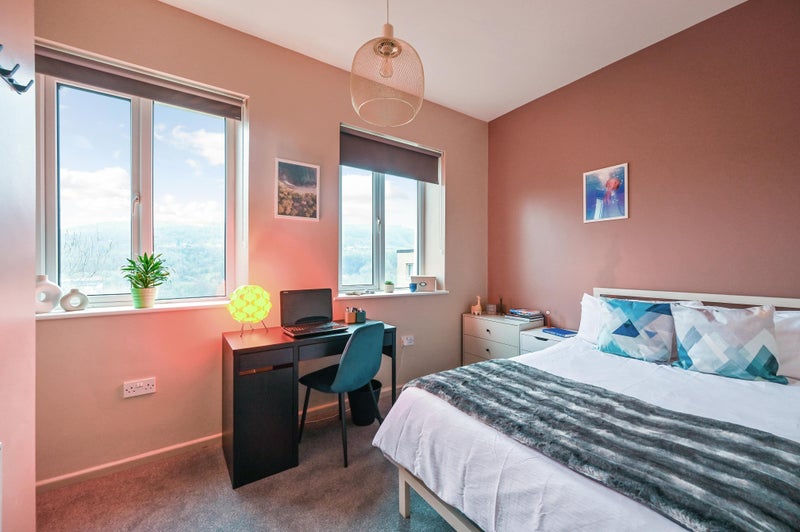 Double Room in an 8 Bed Professional House Share - student accommodation in Pontypridd - img_8
