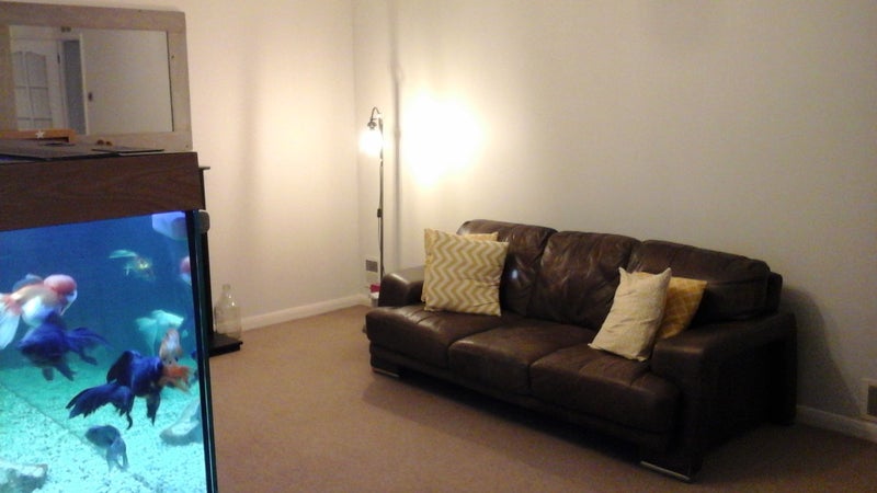 Double room  in Goldsworth Park - student accommodation in Woking - img_5