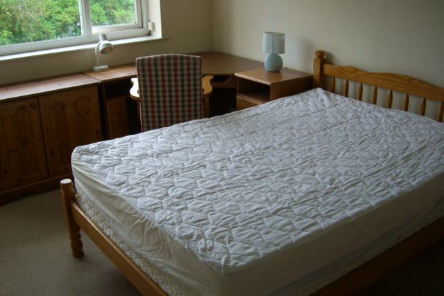 Double Room in shared house near the UofB & QEH - student accommodation in Birmingham - img_1