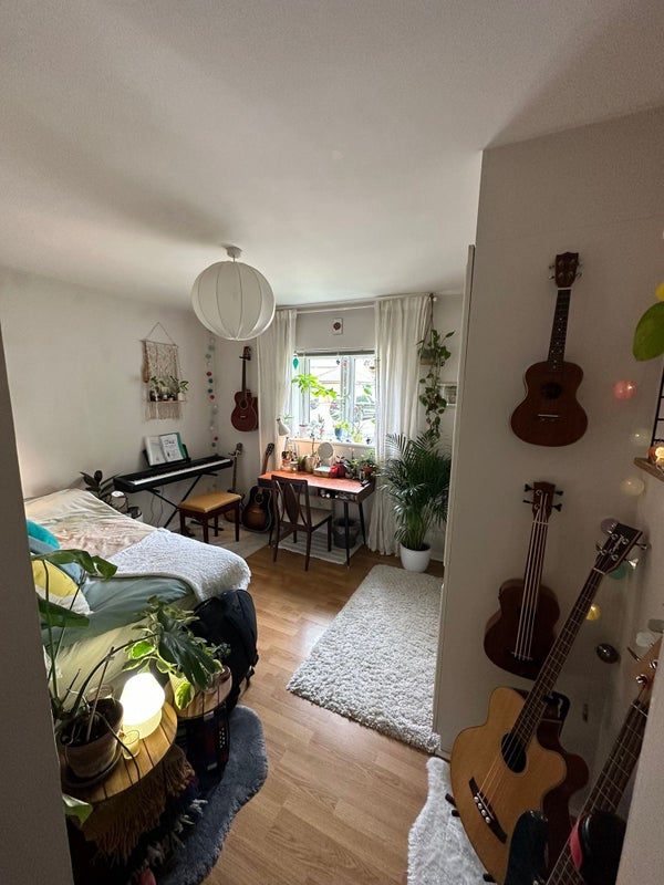 Double room in vibrant flat - student accommodation in New Cross - img_1