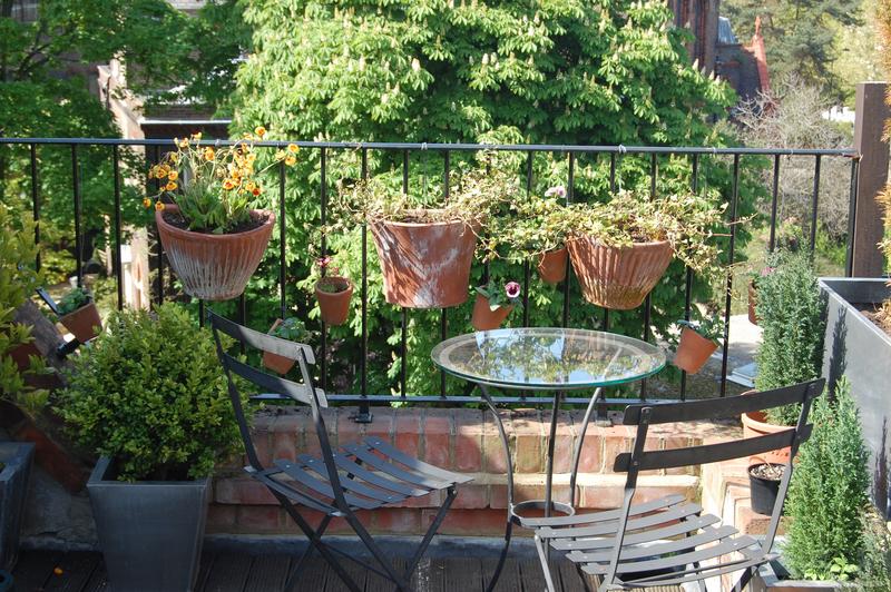 Double room, lovely top floor flat, Belsize Park - student accommodation in Belsize Park - img_5
