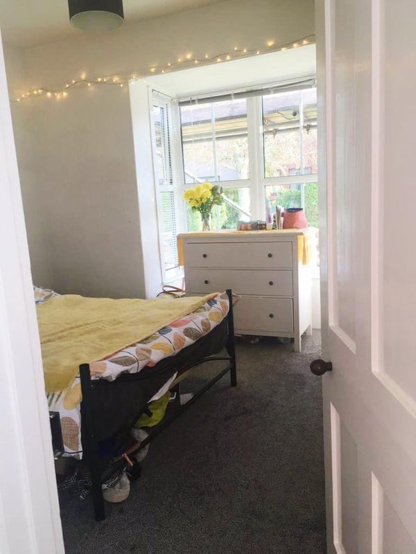 Double Room to rent in Central Falmouth Bungalow - student accommodation in Falmouth - img_2