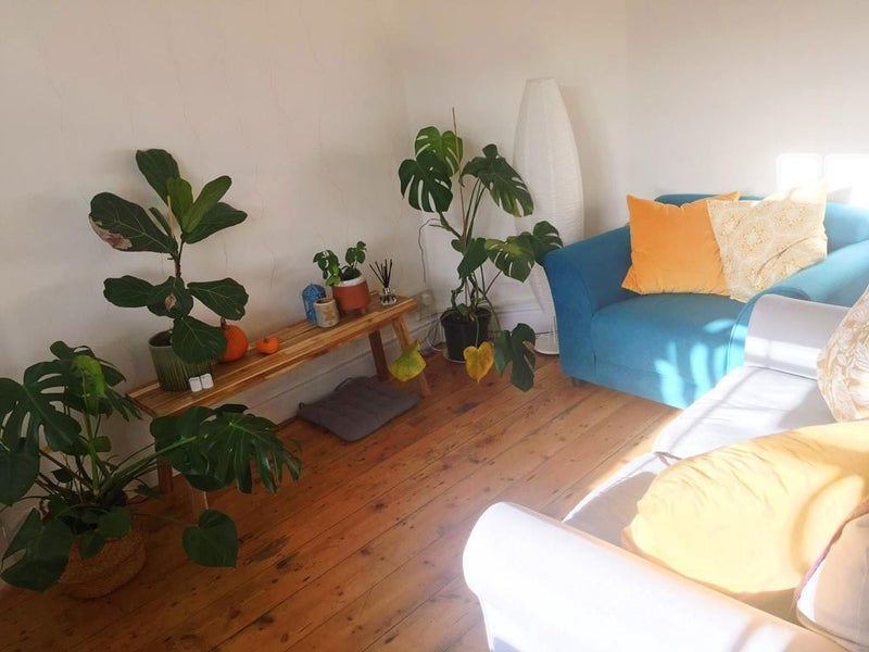 Double Room to rent in Central Falmouth Bungalow - student accommodation in Falmouth - img_3