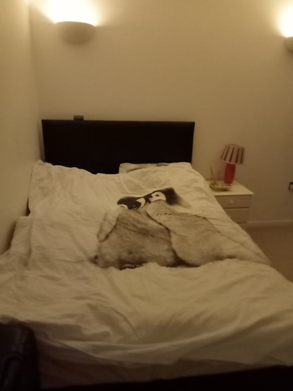 Ensuite furnished room to let in apartment - student accommodation in Leeds City Centre - img_2