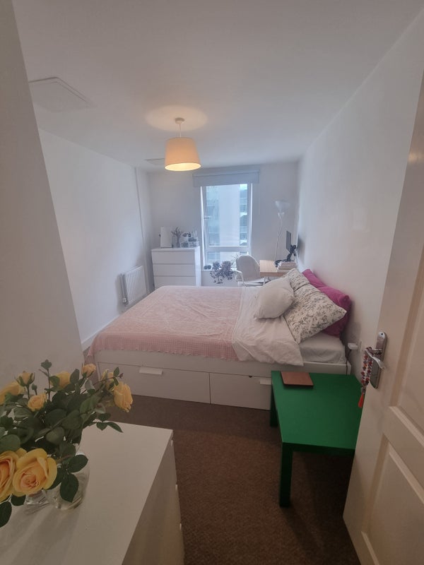 Entire flat - 2 bed fully furnished 6 months only - student accommodation in Greenwich - img_1