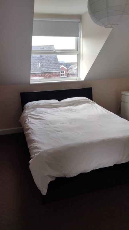 Great city centre house with 2 rooms available - student accommodation in Exeter - img_2