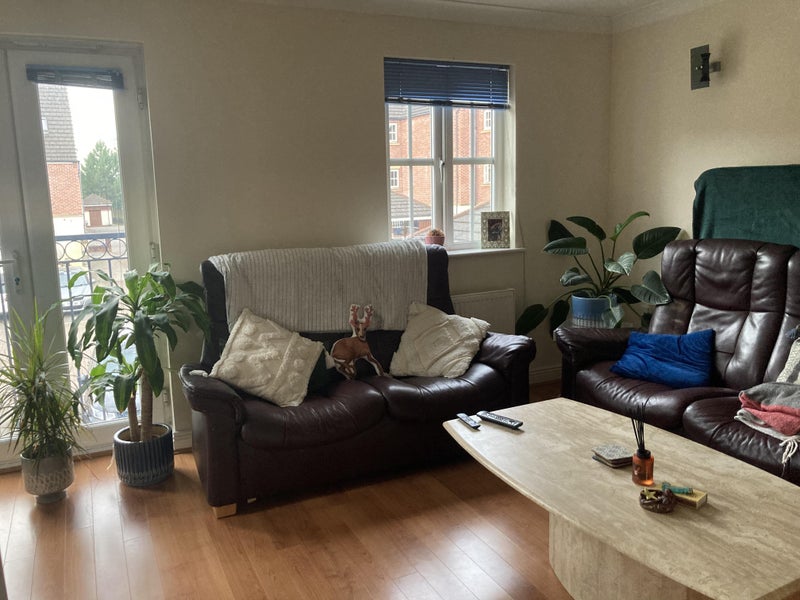 Housemate for friendly female house wanted ASAP - student accommodation in Cardiff - img_1