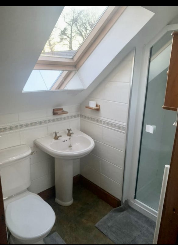 Large Double en-suite room available Sept 1st - student accommodation in Plean - img_7