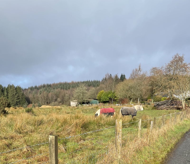 Large 3 bedroom property student accommodation in Gartmore - img_4