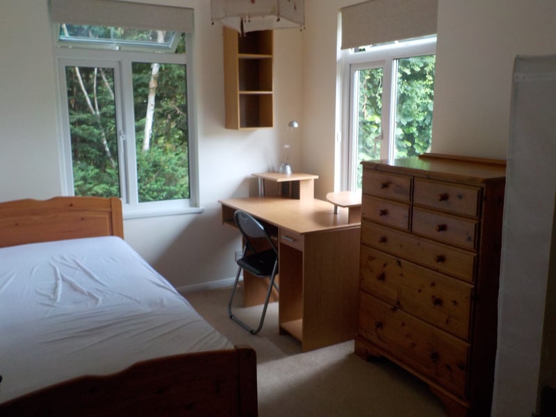 Last Room, New Carpet/Decoration, Clean/Quiet Home - student accommodation in Guildford - img_3