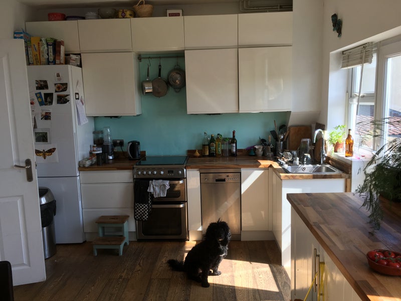 Lovely double room in family home, St Werburghs - student accommodation in Bristol - img_1