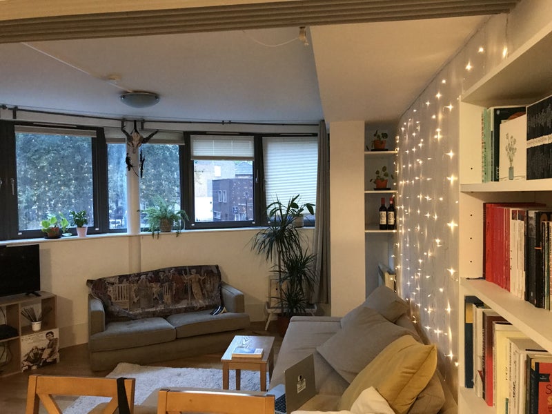 Luminous homey flat in Mornington Crescent - student accommodation in Mornington Crescent - img_6