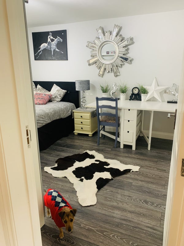 ⛷🐶Luxury 1 Rooms For Professional  Awe  Long/Short - student accommodation in Basingstoke - img_7