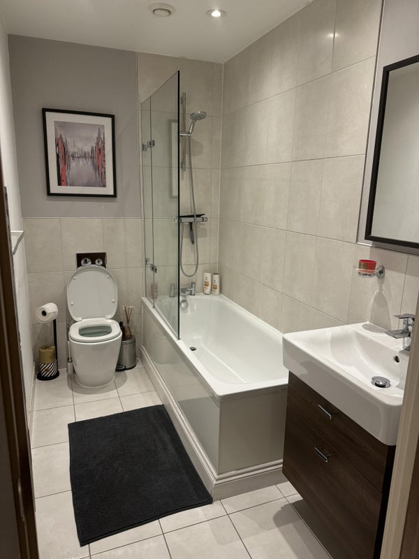 Modern 2 double bedroom flat in Putney - student accommodation in Putney - img_8