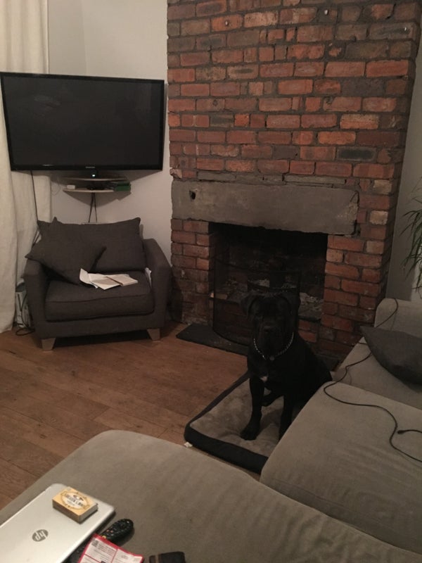 Nice house, big garden, walking distance to city - student accommodation in Cross Green - img_4